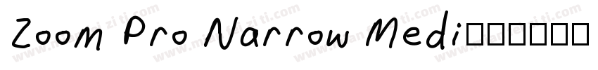Zoom Pro Narrow Medi字体转换